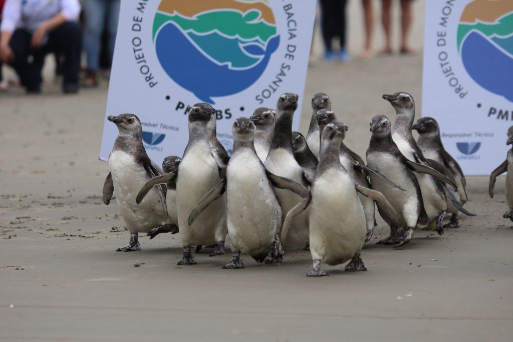 FOTO 1 539162441 1116556920573264 4366816337866720136 n