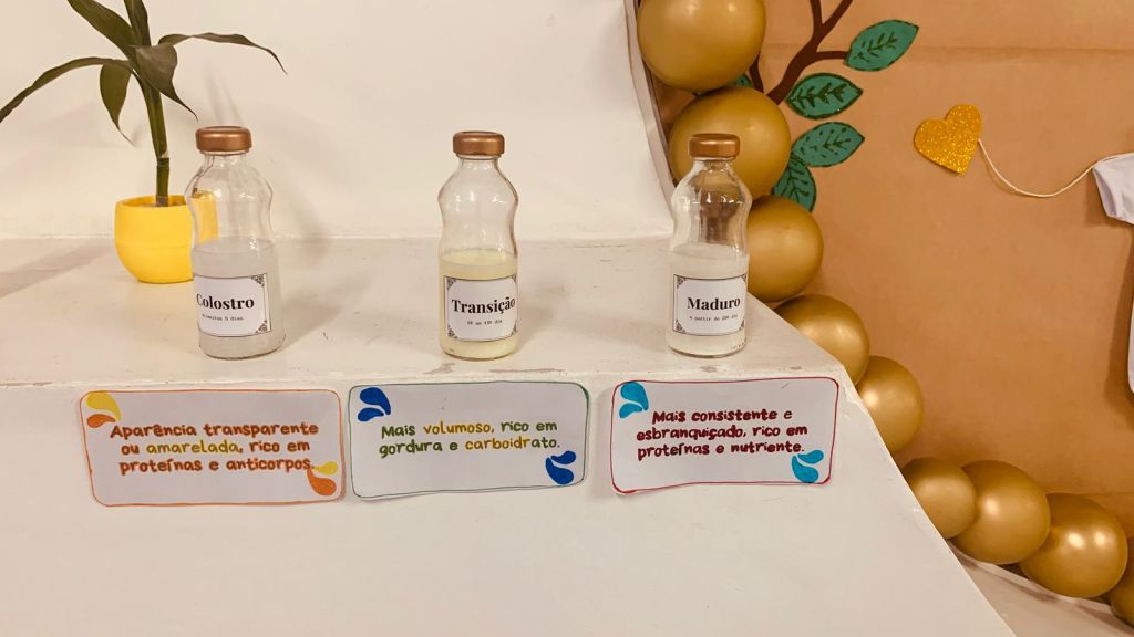 FOTO 2 WhatsApp Image 2025 08 07 at 15.31.35