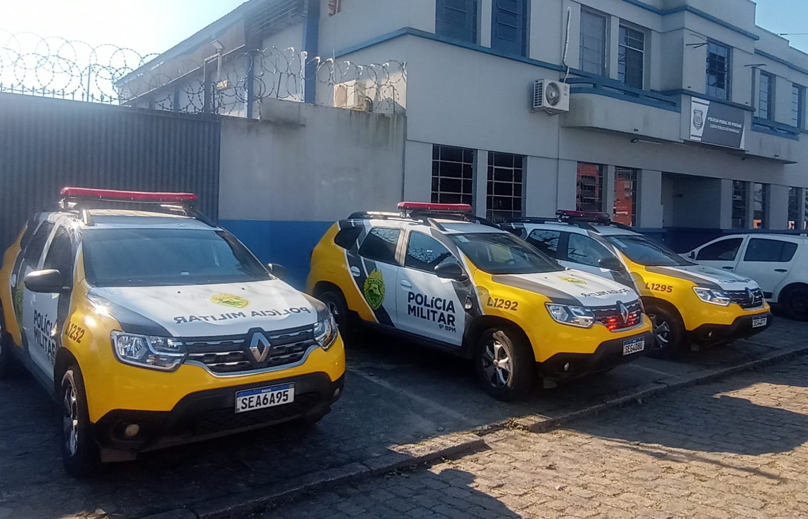 WhatsApp Image 2025 08 05 at 09.53.35