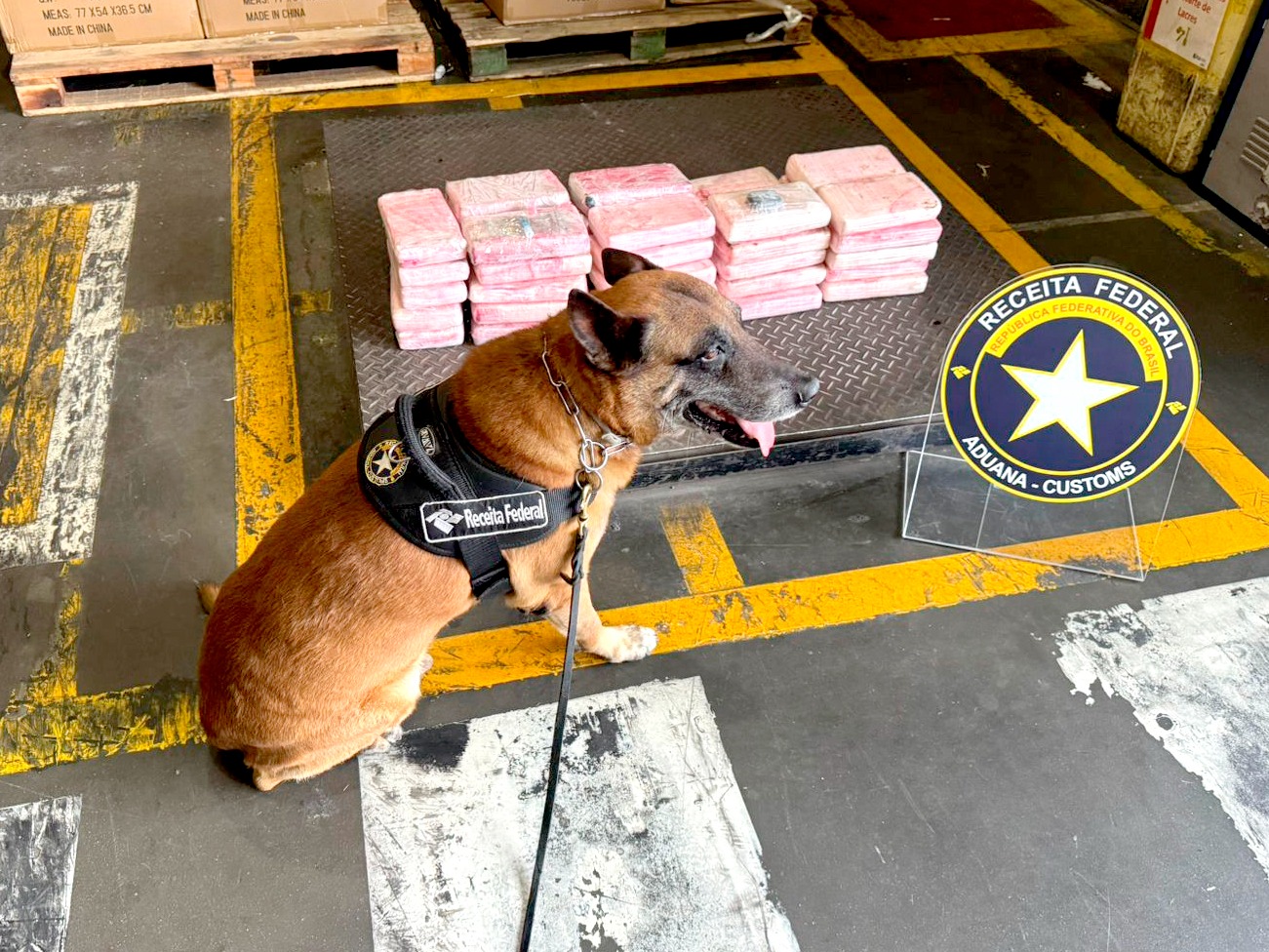 Receita Federal apreende 48,5 quilos de cocaína em terminal no Porto de Paranaguá 1 WhatsApp Image 2025 08 19 at 18.04.11