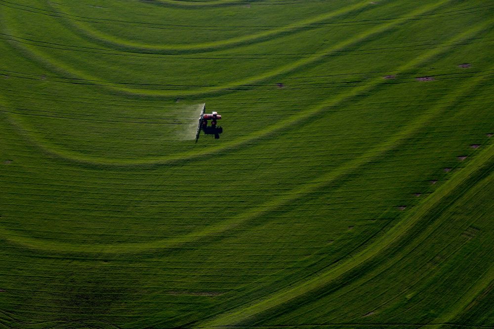 Bom número é movido pelos bons números das safras de soja e milho, enquanto os setores industrial e de serviços apresentaram variações positivas de 3,43% e 2,46%, respectivamente (Foto: Jonathan Campos/AEN)