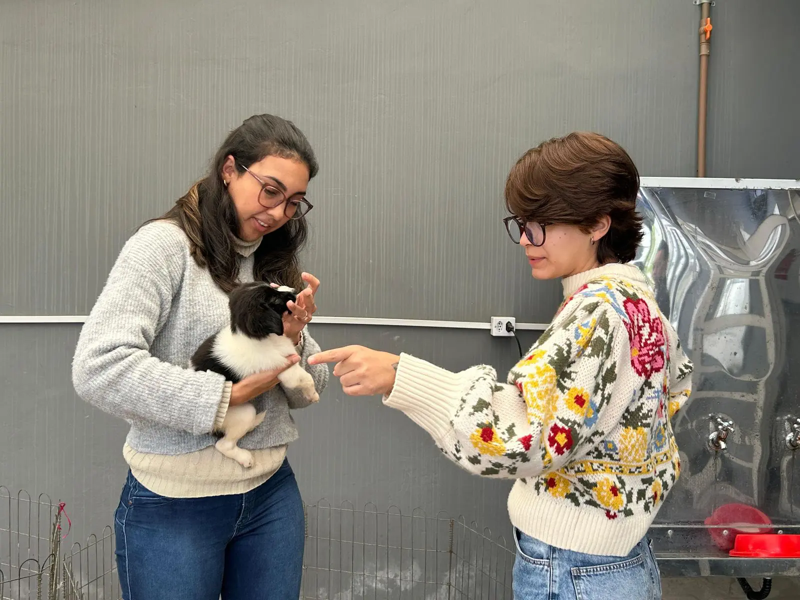 “O resultado não poderia ser melhor: 17 filhotes e um cão adulto ganharam um novo lar, além de 70 gatos vacinados", ressalta a secretária municipal de Serviços Urbanos, Chris Rosa (Foto: Prefeitura de Paranaguá/Secom)