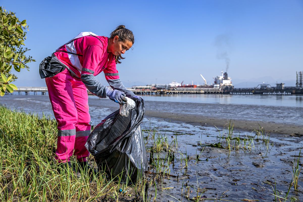 Portos do Paraná realizará mutirão de limpeza dos manguezais no Rocio 1 1mutirao de limpeza rocio