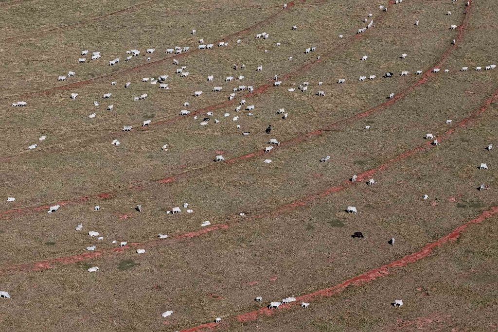 2 Roberto Dziura Jr AEN