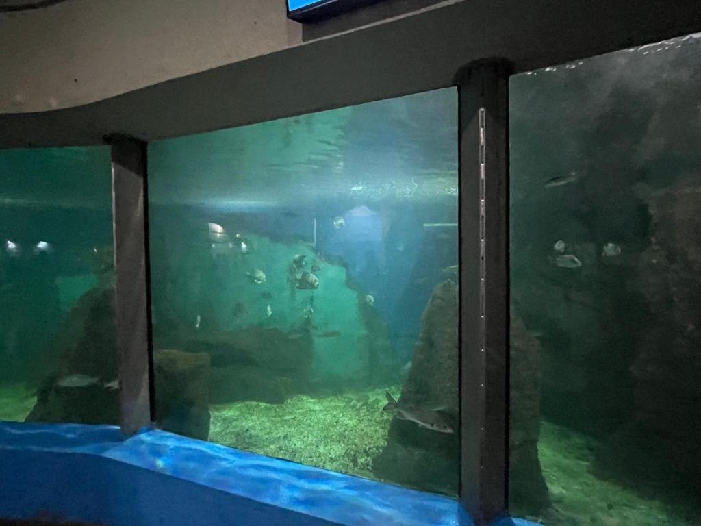 Portos do Paraná investe em melhorias estruturais no Aquário de Paranaguá 7 60e01ea6 3032 407b a271 ad32b07b93af