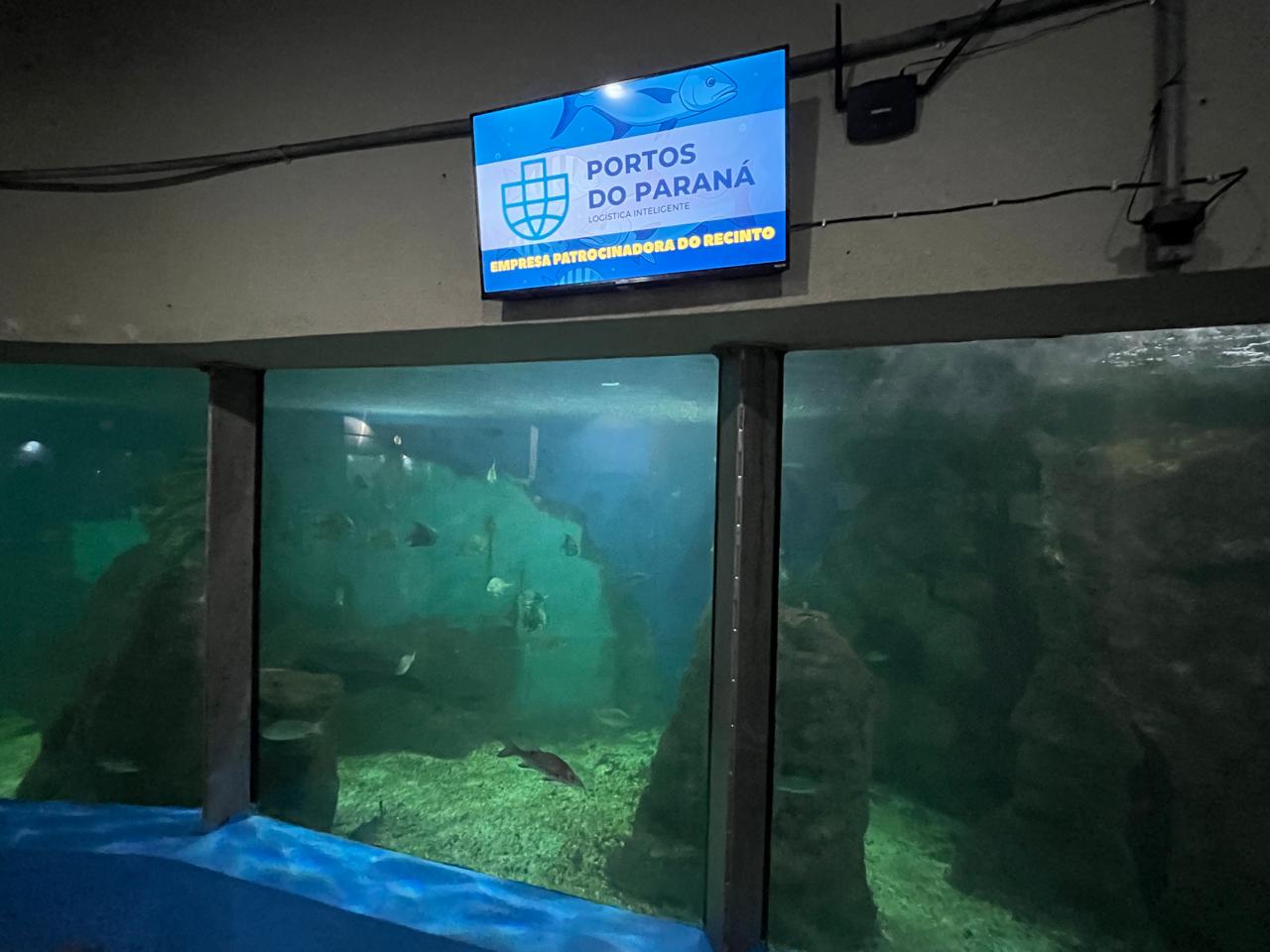 Portos do Paraná investe em melhorias estruturais no Aquário de Paranaguá 1 Entre as ações imediatas estão o polimento dos vidros do pinguinário e a aquisição de novos equipamentos para o tanque Oceano