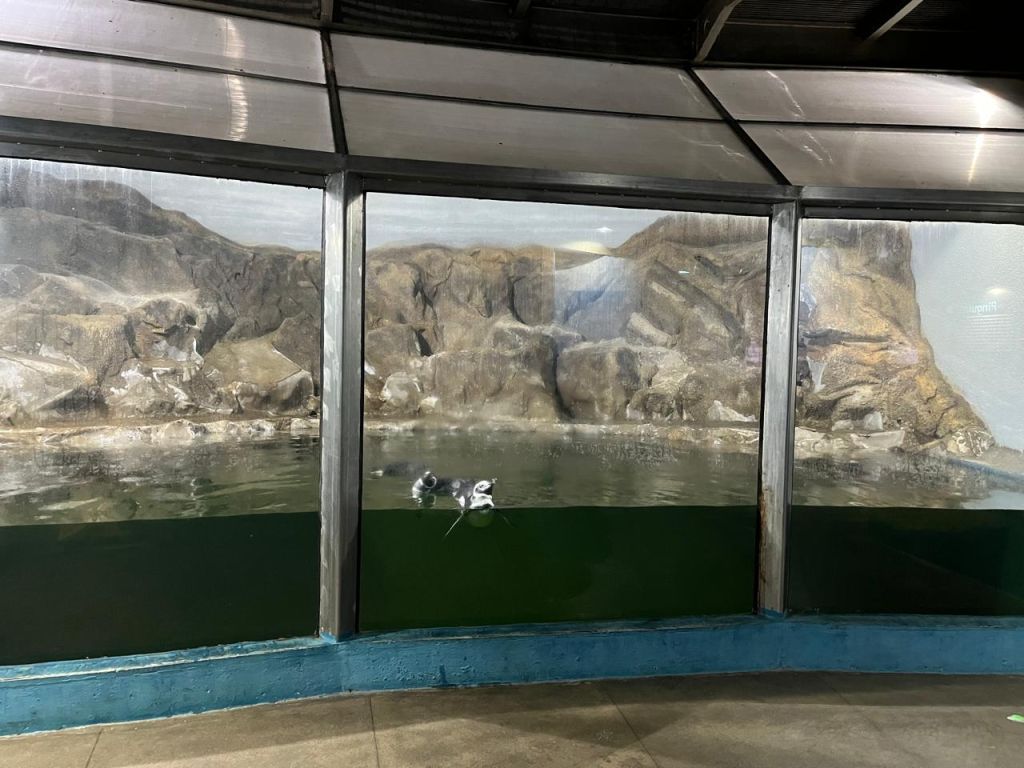 Portos do Paraná investe em melhorias estruturais no Aquário de Paranaguá 3 FOTO 01 B 3