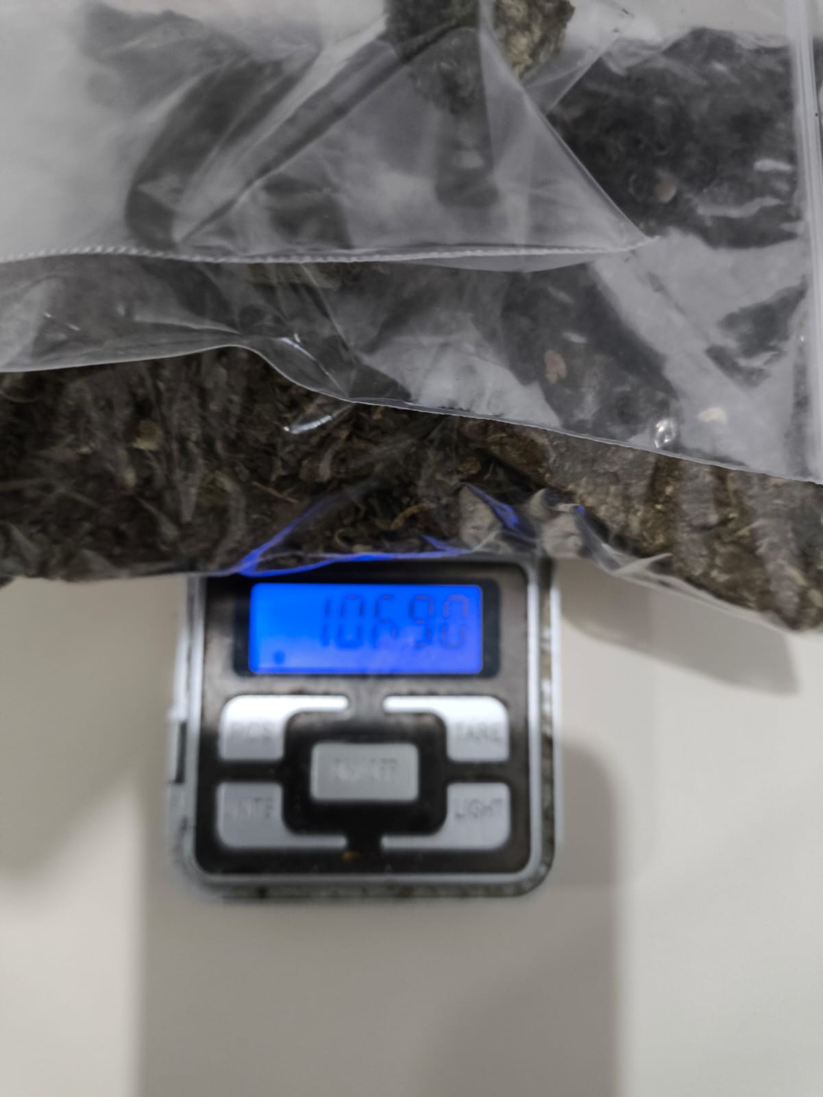 Rapaz é flagrado pela PM transportando maconha em Matinhos 1 Rapaz e flagrado pela PM transportando maconha em Matinhos