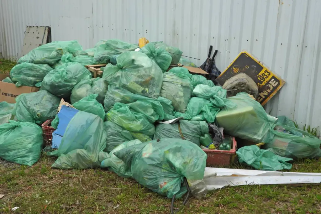 4.º Mutirão de Limpeza de Rios e Praias recolhe mais de uma tonelada de lixo em Guaratuba 3 b97fe9d1 7d6c 458b b04a 1dfb41876d4d 1