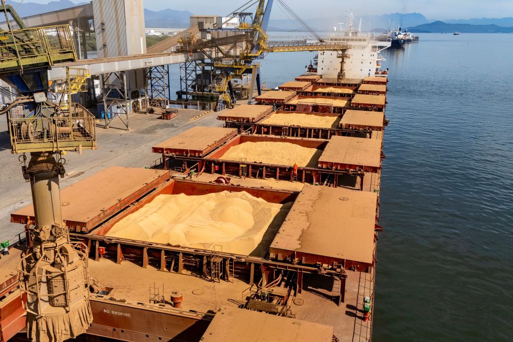 Paranaguá lidera exportação de soja e amplia volume de farelo e proteínas animais 1 Além disso, metade das exportações brasileiras de frango saiu por Paranaguá em 2025 e o farelo de soja já representa quase um terço da movimentação nacionais Foto: Claudio Neves/Portos do Paraná