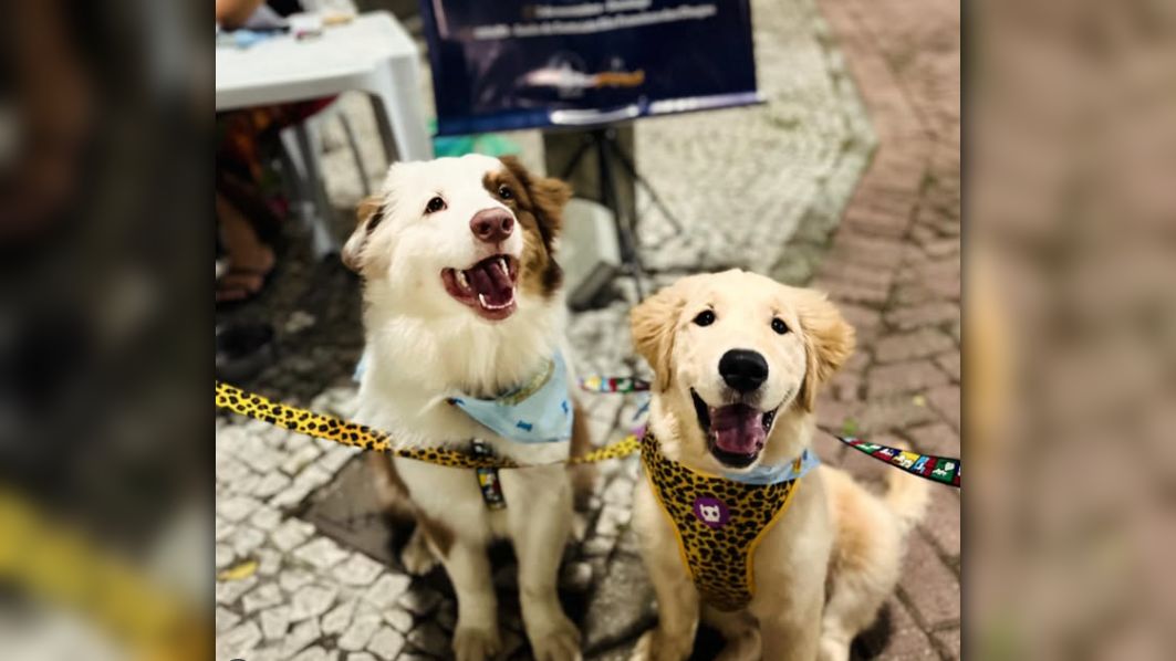 2.º Passeio Pet com a Mãe do Rocio abre oficialmente a 212.ª Festa de Nossa Senhora do Rocio em Paranaguá 1 A caminhada segue do Santuário São Francisco das Chagas até o Santuário do Rocio, onde os participantes serão recebidos com uma programação especial (Foto: Santuário do Rocio)