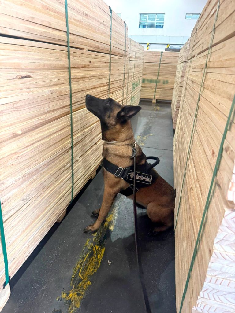 Receita Federal apreende mais de 1 tonelada de cocaína no Terminal de Contêineres do Porto de Paranaguá 3 WhatsApp Image 2025 10 09 at 18.20.17 1