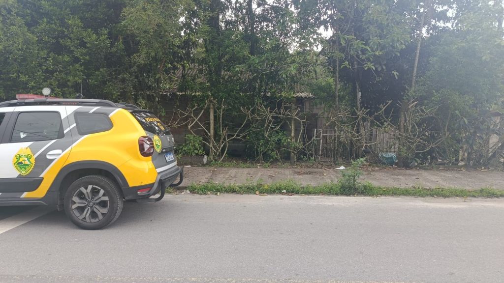 WhatsApp Image 2025 10 29 at 17.38.24 1