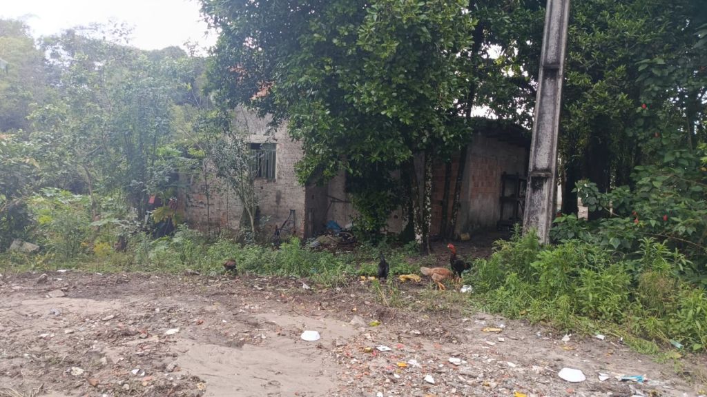 WhatsApp Image 2025 10 29 at 17.38.24 2