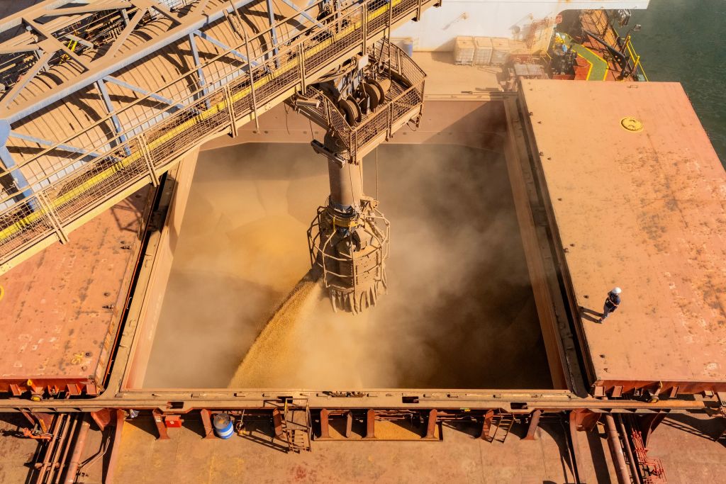 No acumulado de janeiro a setembro, os embarques do produto aumentaram 284% em relação ao mesmo período do ano anterior — 2.935.569 toneladas contra 756.044 (Foto: Claudio Neves/Gcom Portos do Paraná)