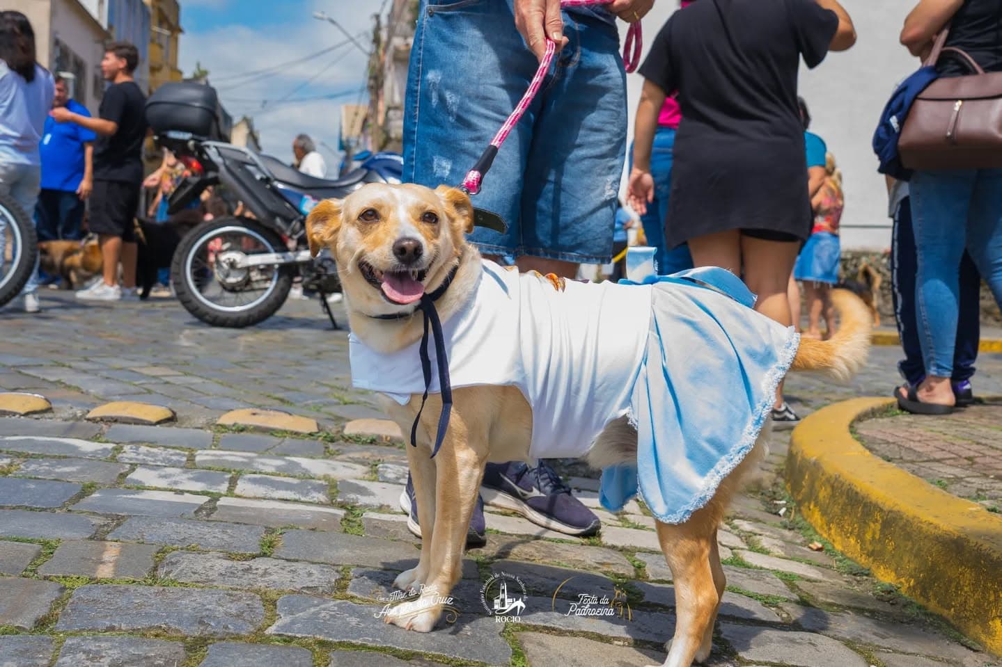 Reunindo mais de 200 animais, a concentração do Passeio Pet aconteceu em frente ao Santuário São Francisco das Chagas, no centro da cidade (Foto: Santuário Estadual de Nossa Senhora do Rocio)