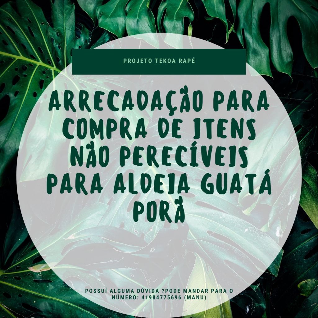 WhatsApp Image 2025 11 12 at 13.50.11 2