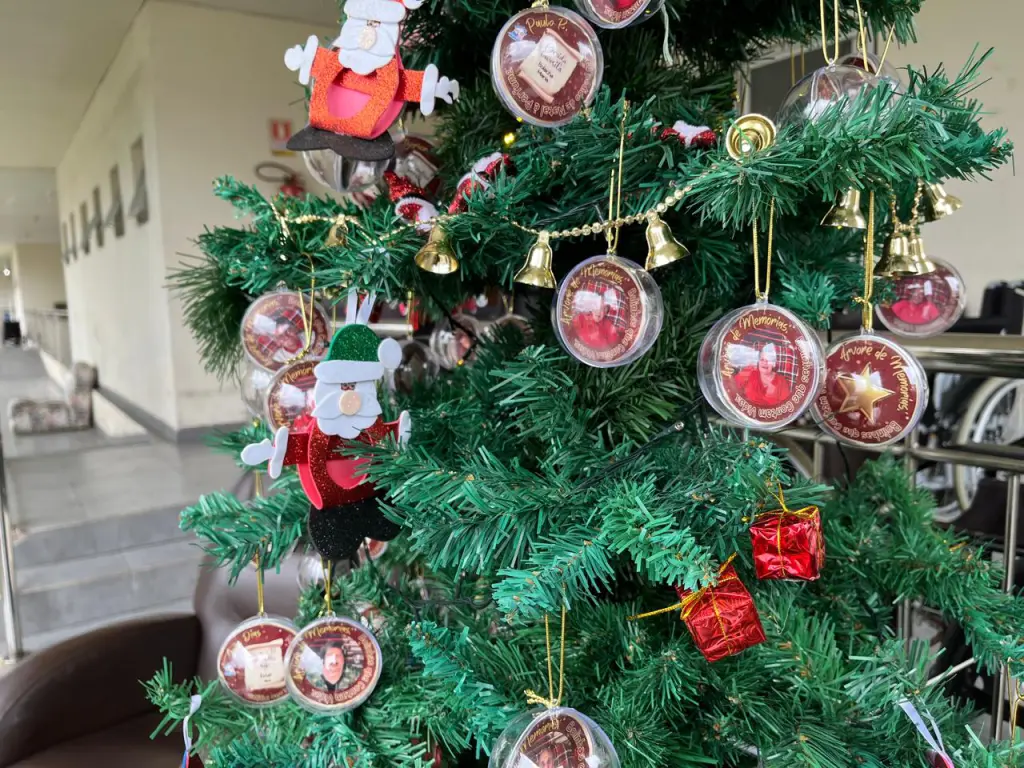 WhatsApp Image 2025 11 18 at 15.14.05 1 1