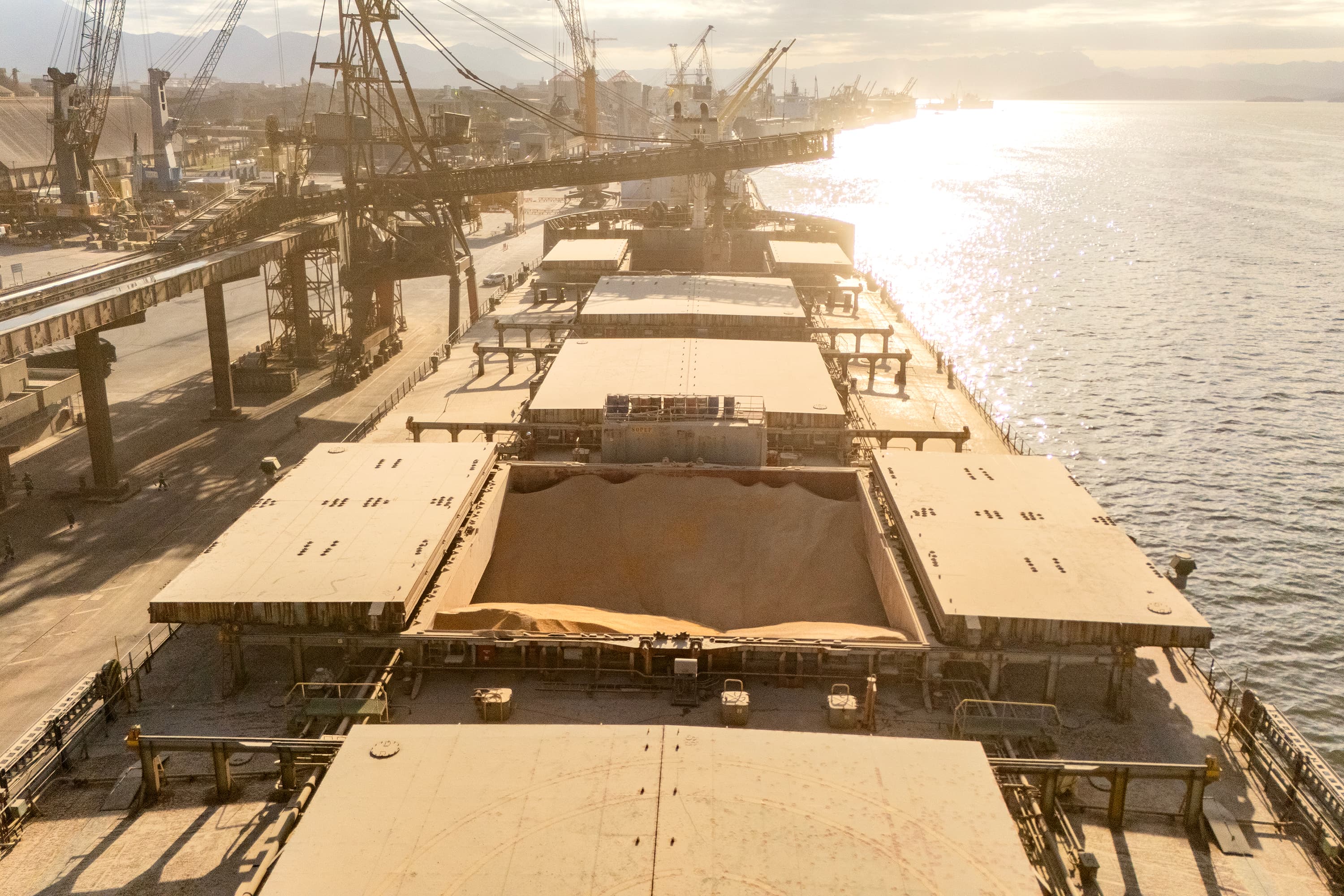 "A commodity também apresentou o maior volume de crescimento de janeiro a outubro deste ano, alcançando mais de 3,5 milhões de toneladas", informa a Portos do Paraná (Foto: Claudio Neves/Portos do Paraná)