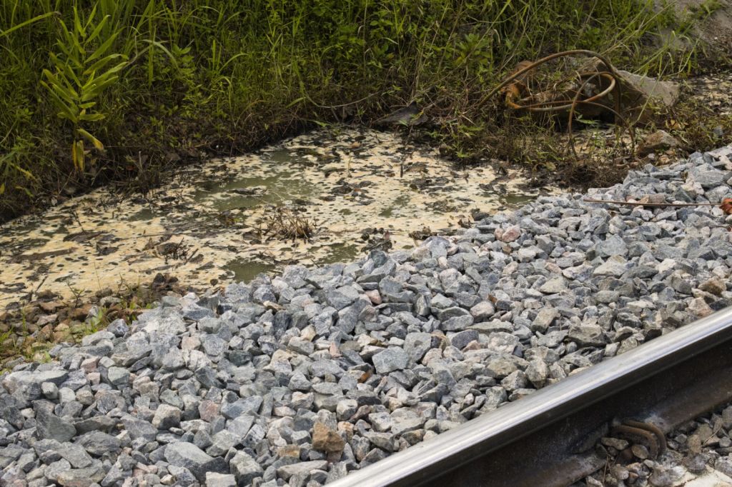 WhatsApp Image 2025 12 16 at 14.17.10 1