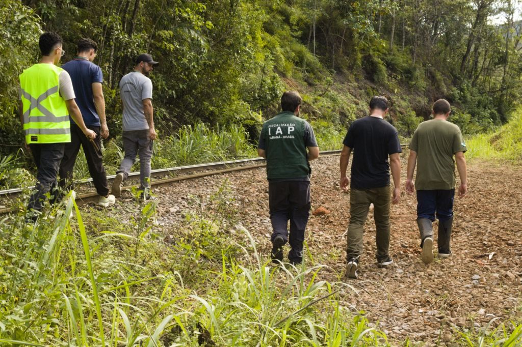 WhatsApp Image 2025 12 16 at 14.17.10 2