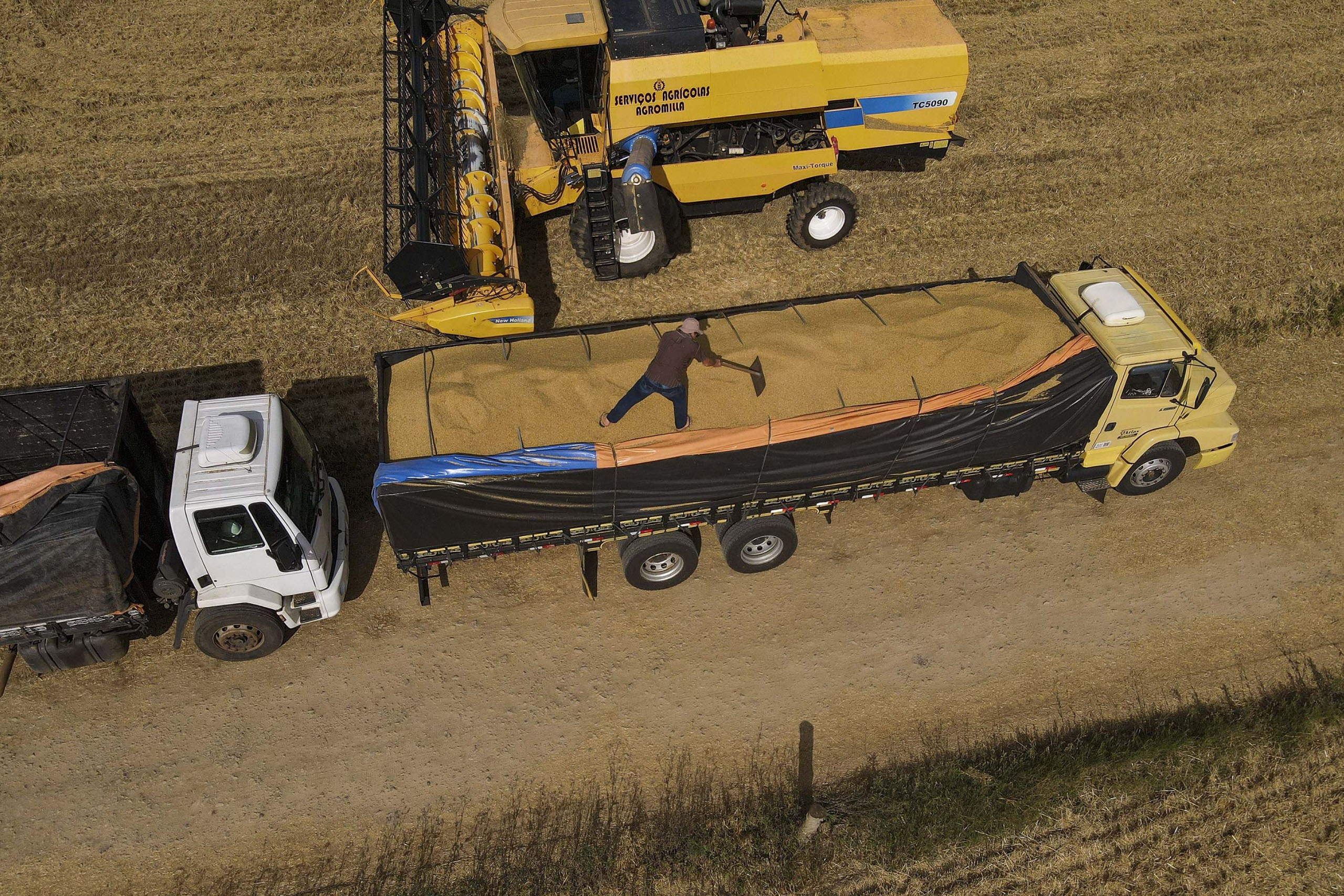 Paraná tem maior aumento do País na estimativa de produção de grãos em novembro 1 Um dos aumentos foi na produção de cevada. Os maiores produtores do Brasil são o Paraná, com 486,4 mil toneladas (Foto: Gilson Abreu/Arquivo AEN)