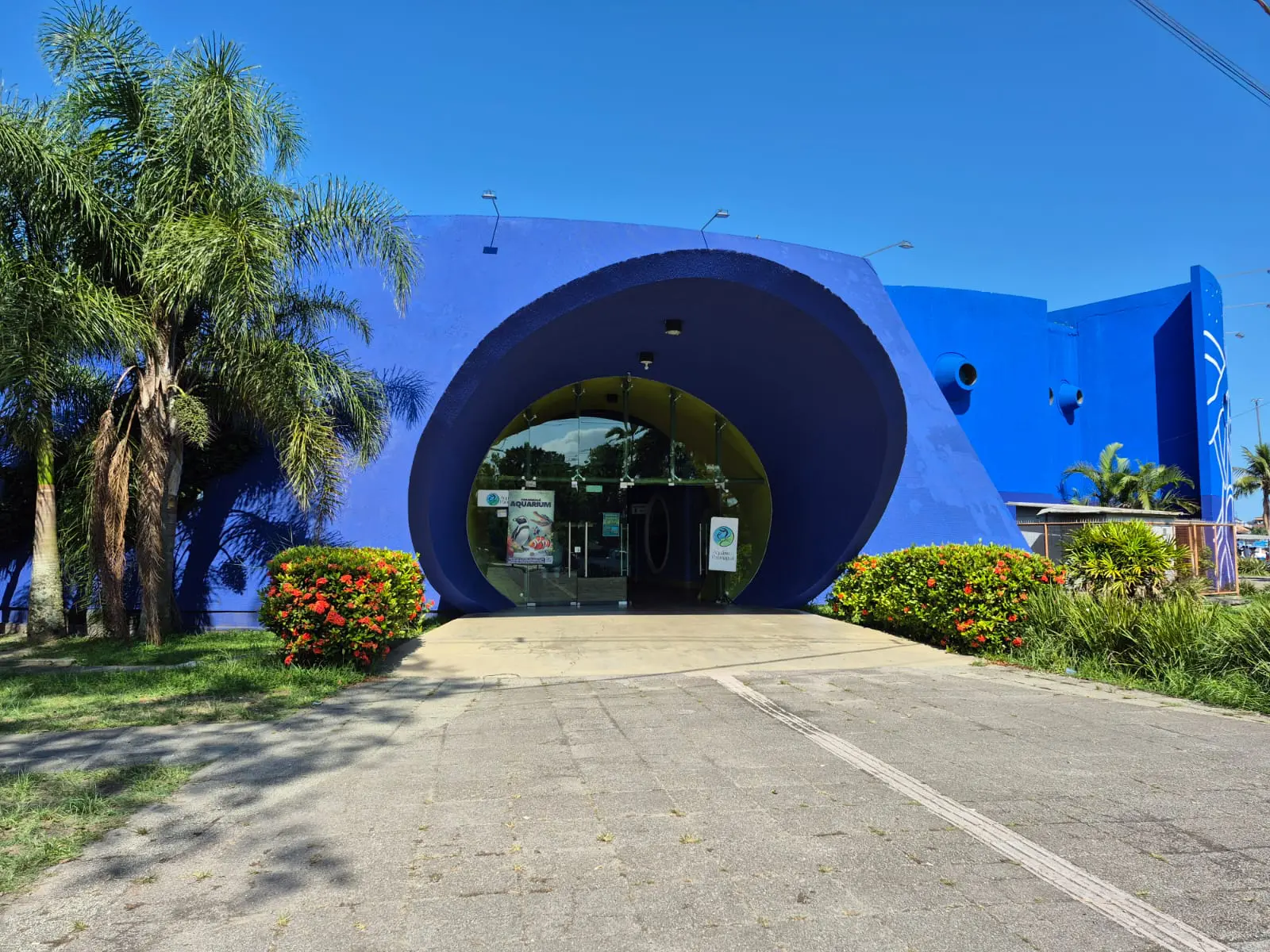 O local conta hoje com cerca de 26 tanques abertos à visitação, com peixes de diversas espécies, bem como animais, como cobras, lagartos, jacarés, caranguejos e pinguins (Foto: Folha do Litoral News)