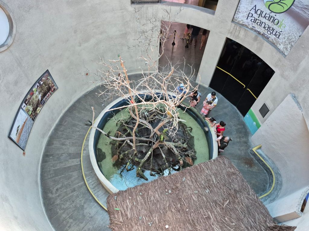 WhatsApp Image 2026 01 07 at 15.45.06 2