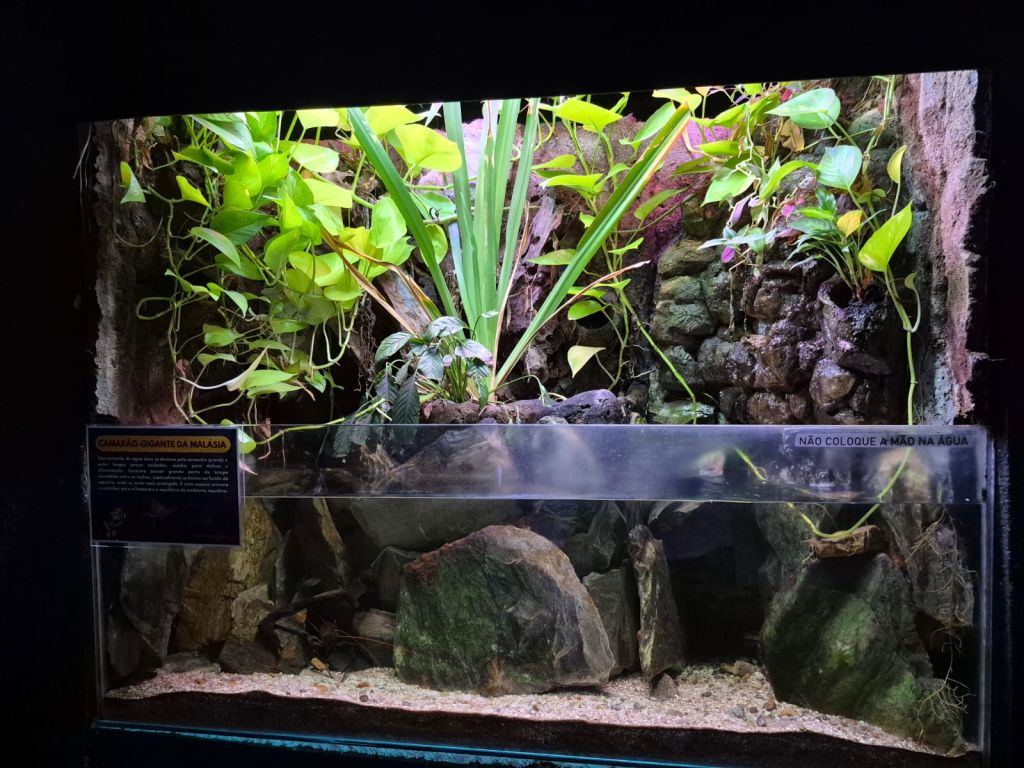 WhatsApp Image 2026 01 07 at 15.45.07 1