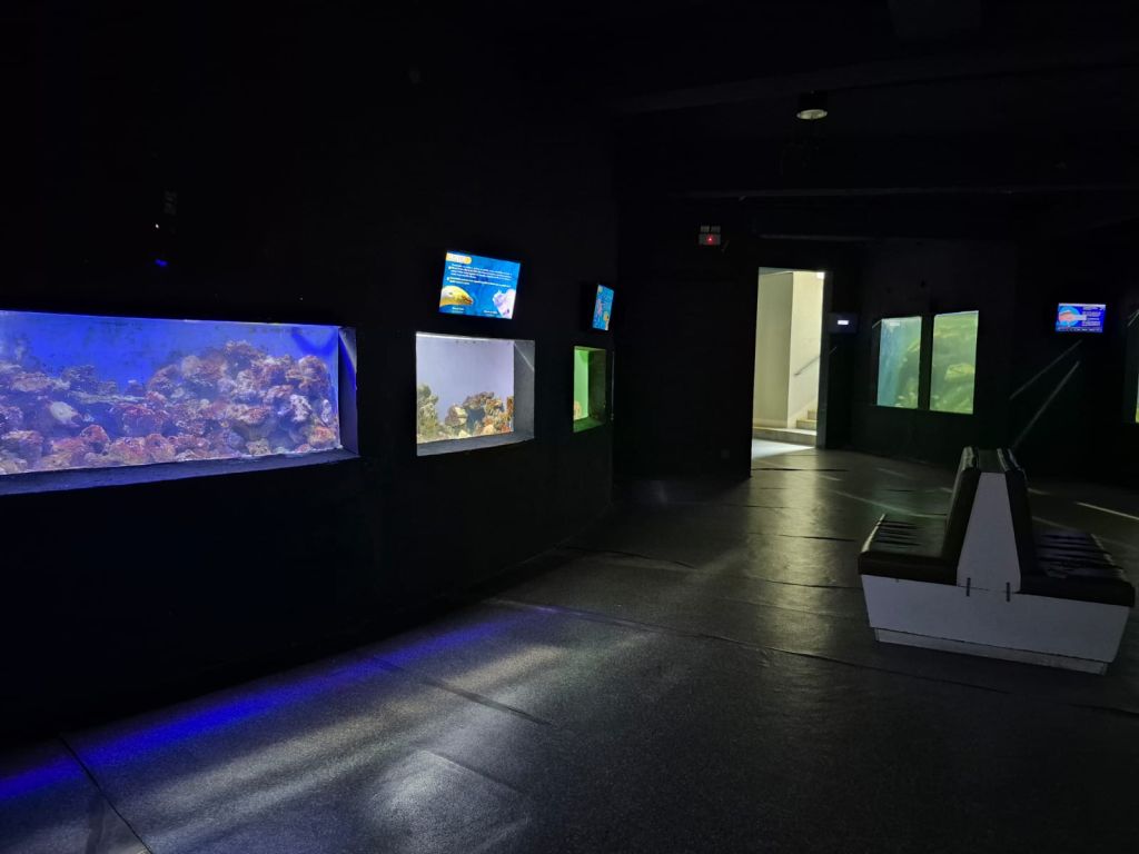 WhatsApp Image 2026 01 07 at 15.45.07 2