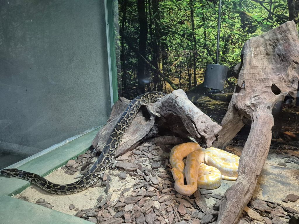 WhatsApp Image 2026 01 07 at 15.45.08 1