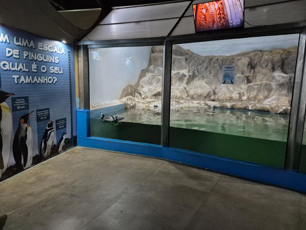 WhatsApp Image 2026 01 07 at 15.45.09