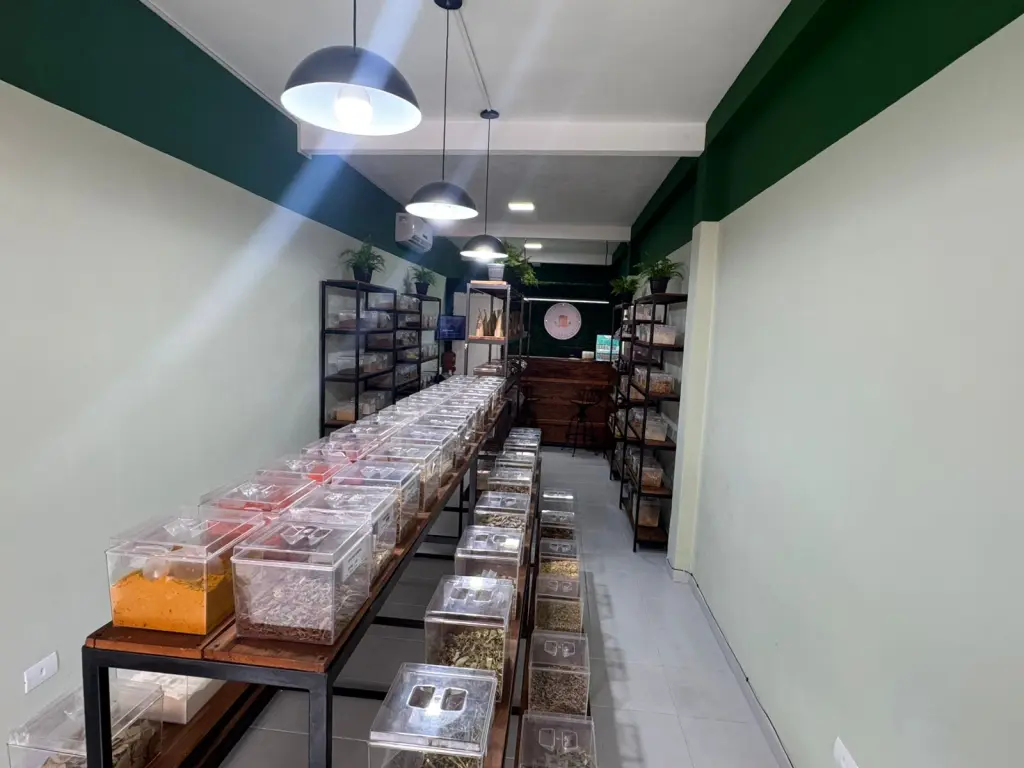 Empório dos Grãos é reinaugurado no Centro Histórico de Paranaguá com foco em saúde e bem-estar 11 3a3bd661 627f 42b6 b2ed 71c87214c585