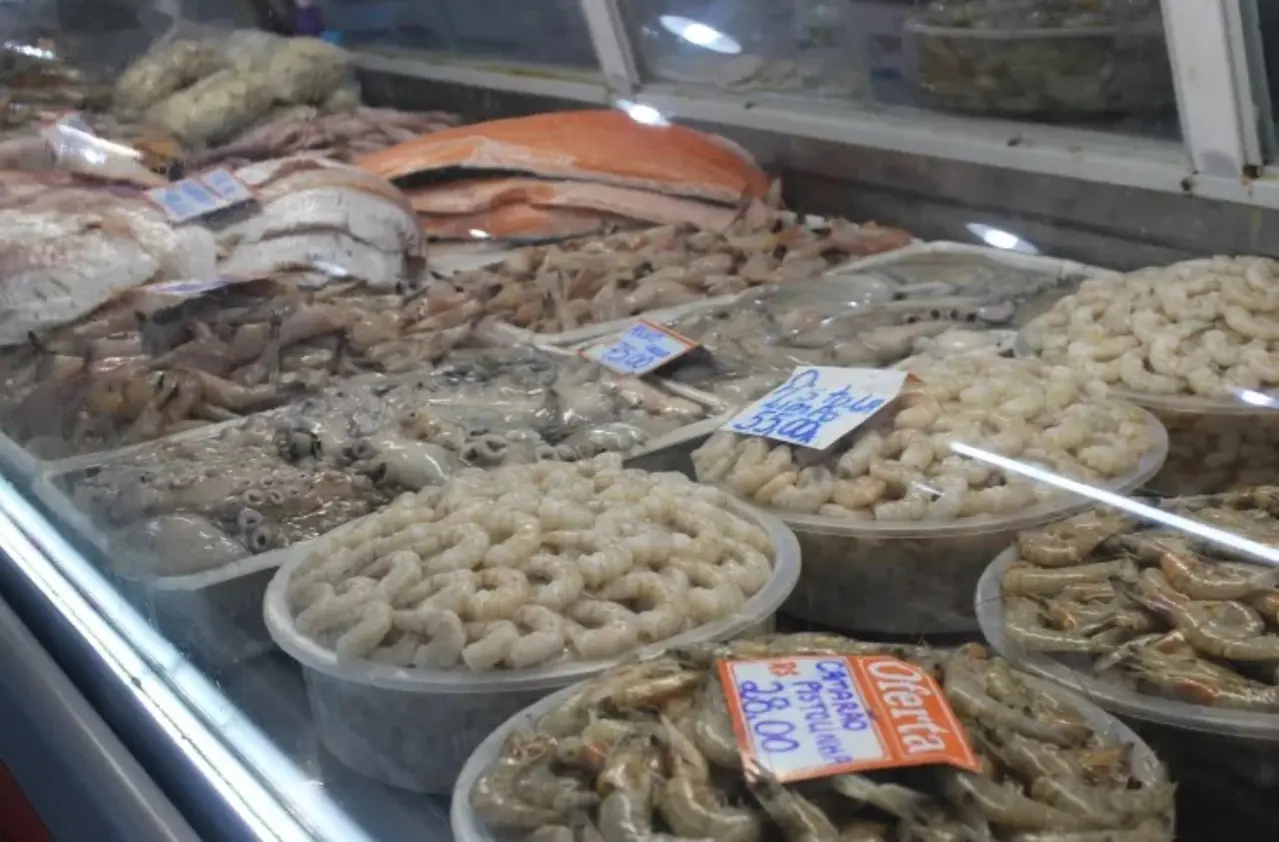 Defeso do camarão está em vigor no Paraná e segue até 30 de abril com restrições à pesca