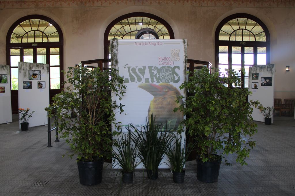 Estação Ferroviária de Paranaguá recebe exposição fotográfica “Pássaros - A beleza invisível ao nosso redor” 3 IMG 5844 1