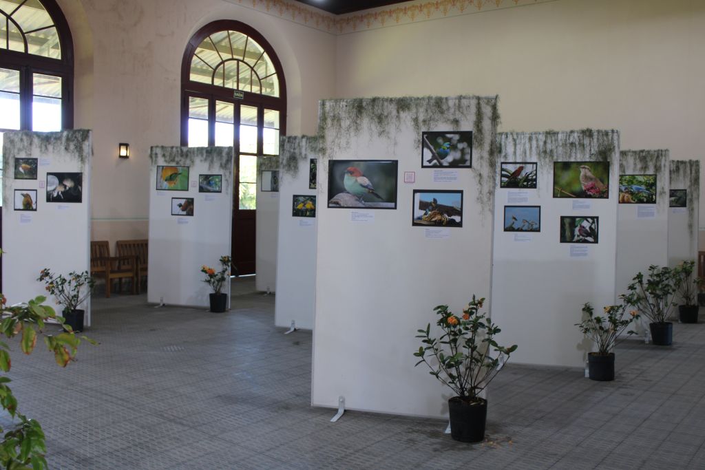 Estação Ferroviária de Paranaguá recebe exposição fotográfica “Pássaros - A beleza invisível ao nosso redor” 10 IMG 5845 1