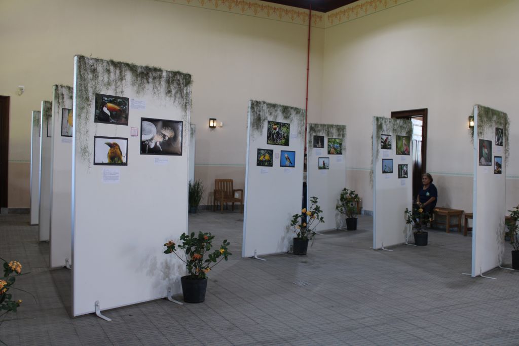 Estação Ferroviária de Paranaguá recebe exposição fotográfica “Pássaros - A beleza invisível ao nosso redor” 9 IMG 5847 1