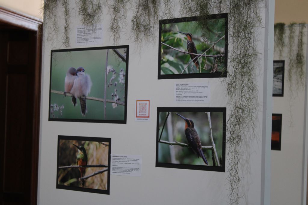 Estação Ferroviária de Paranaguá recebe exposição fotográfica “Pássaros - A beleza invisível ao nosso redor” 7 IMG 5850 1