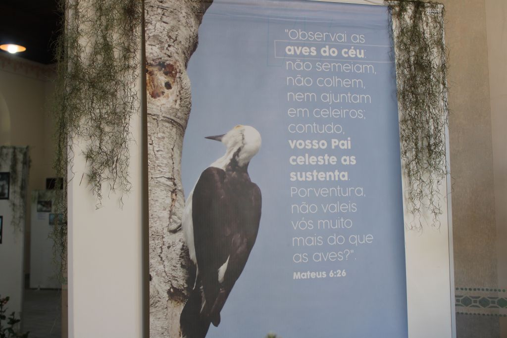 Estação Ferroviária de Paranaguá recebe exposição fotográfica “Pássaros - A beleza invisível ao nosso redor” 5 IMG 5851 1