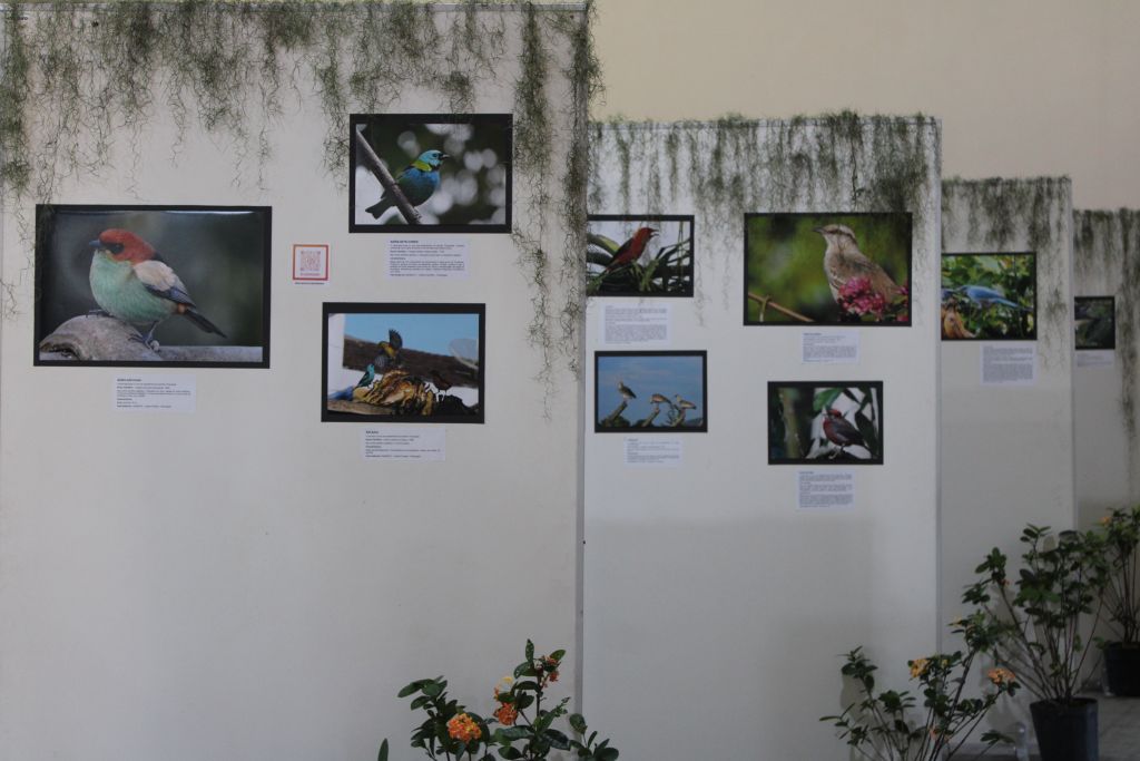 Estação Ferroviária de Paranaguá recebe exposição fotográfica “Pássaros - A beleza invisível ao nosso redor” 4 IMG 5852 1