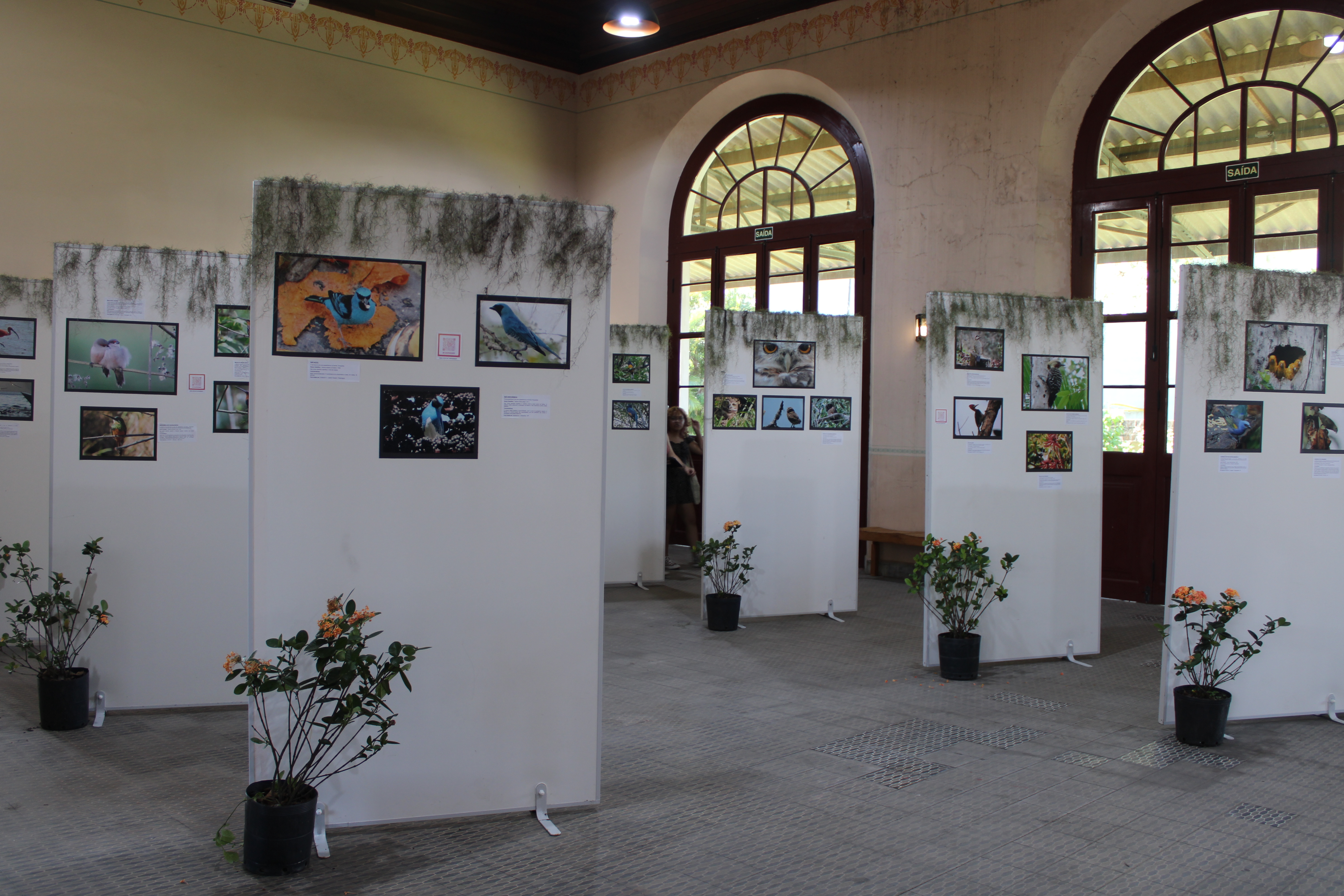 Estação Ferroviária de Paranaguá recebe exposição fotográfica “Pássaros - A beleza invisível ao nosso redor” 1 Exposição “Pássaros - a Beleza Invisível ao Nosso Redor” apresenta registros de Nivaldo Cavallari (Foto: Folha do Litoral News)
