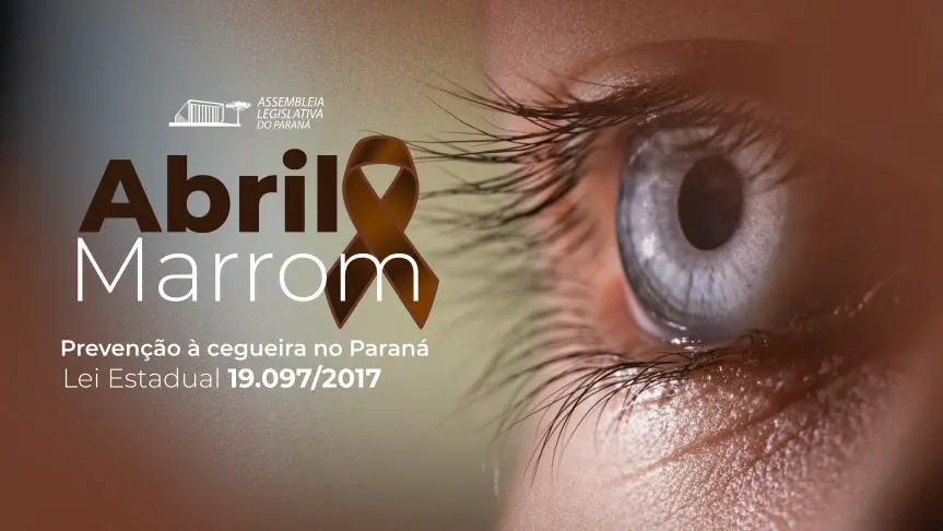 Campanha Abril Marrom mobiliza ações de prevenção e conscientização sobre doenças que podem levar à cegueira 1 Créditos: Arte: Mylena Oliveira