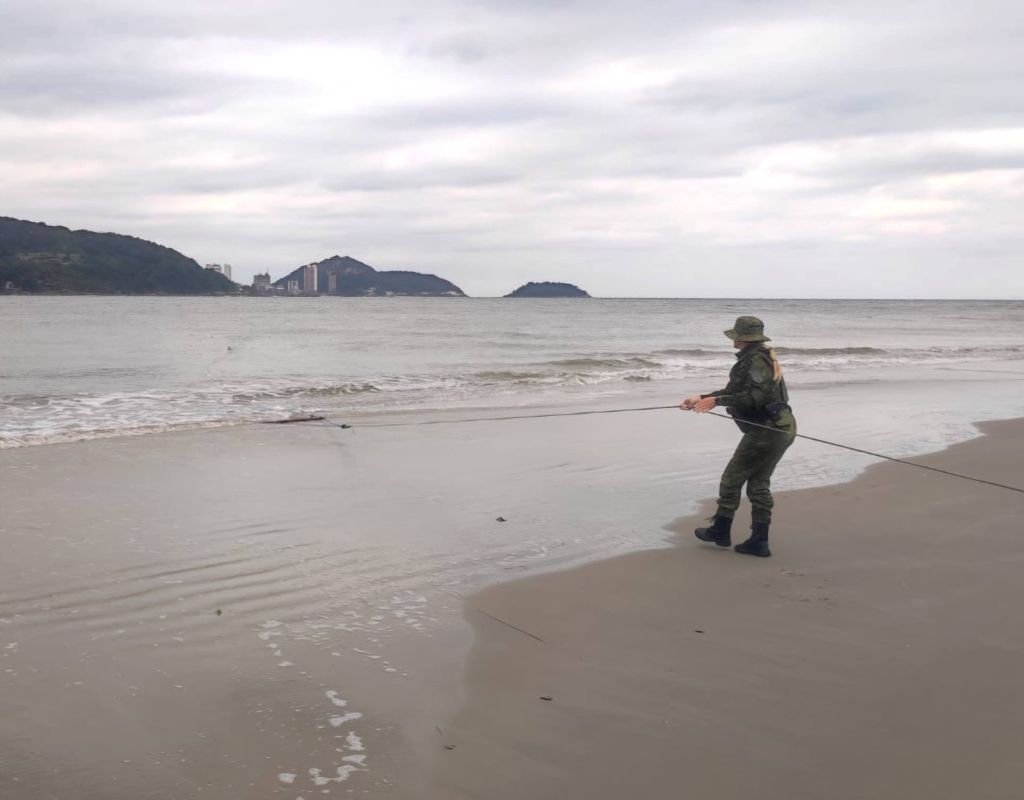 Tartaruga presa em rede de pesca instalada de forma irregular é resgatada pela Polícia Militar Ambiental em praia de Guaratuba 2 foto02 10