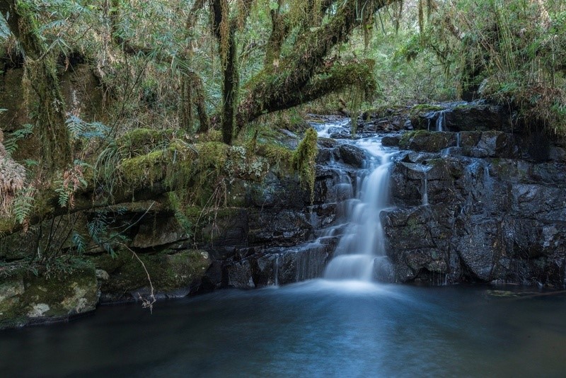 Klabin destaca avanços em metas ambientais 2 Cachoeira nas nascentes do rio Caveiras, RPPN Serra da Farofa (SC) (Foto: Divulgação/Klabin)