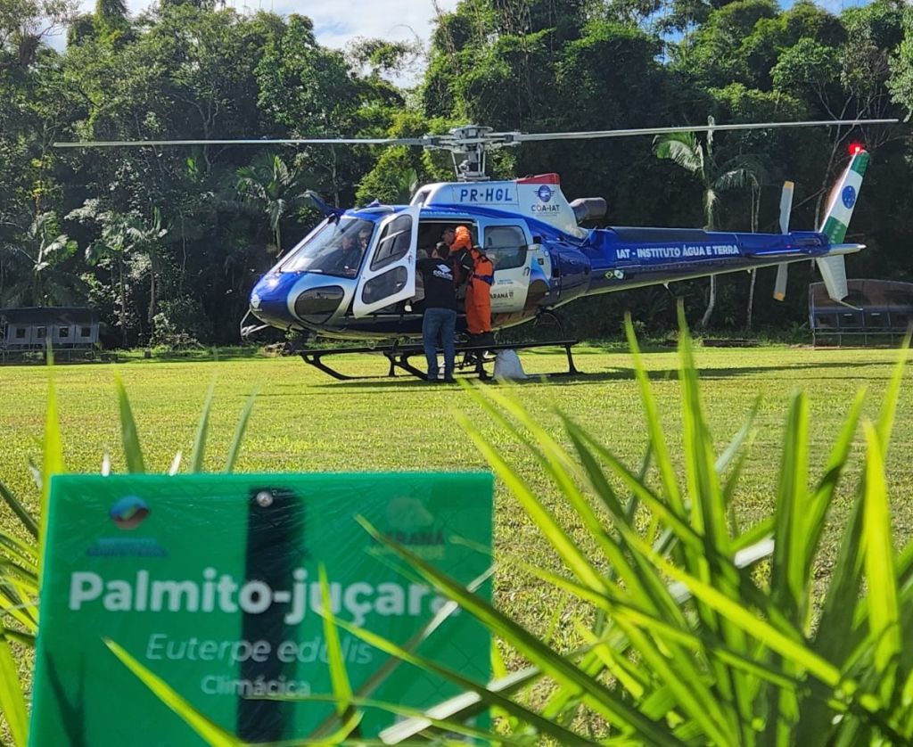 Operação aérea do IAT espalha 700 mil sementes de juçara em áreas protegidas do litoral 2 Foto 2 24