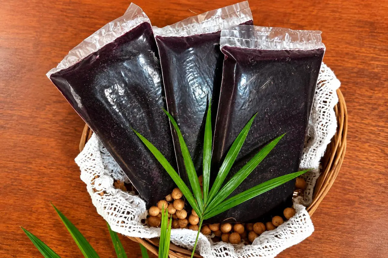 Inscrições para as oficinas gratuitas de colheita, despolpa e receitas com o fruto da palmeira Juçara estão abertas em Morretes
