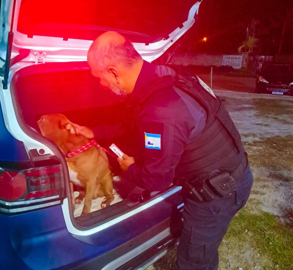 GCM resgata Pit Bull vítima de maus tratos em Pontal do Paraná; cão deixava rastro de sangue enquanto caminhava 2 Oanimal foi encaminhado para atendimento veterinário em uma clínica da região e o tutor foi levado para a Delegacia da Polícia Civil