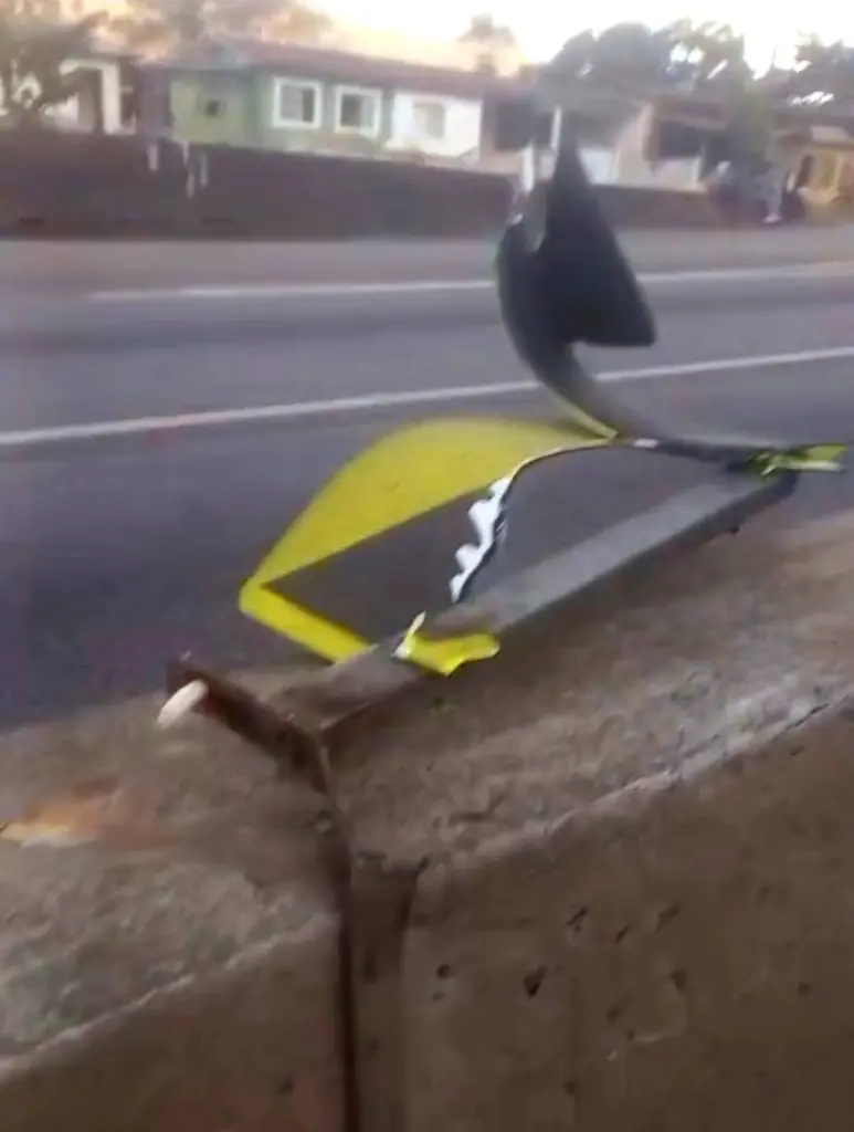 Identificado motociclista que morreu após bater em mureta de concreto na BR-277 em Morretes 2 foto03