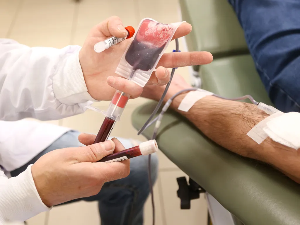 Com a chegada do inverno e a proximidade de novo feriado prolongado, os estoques de sangue no esta-do — especialmente do tipo O (O+ e O−), considerado essencial em atendimentos de urgência e emergência — diminuem (Foto: Gilson Abreu/AEN)