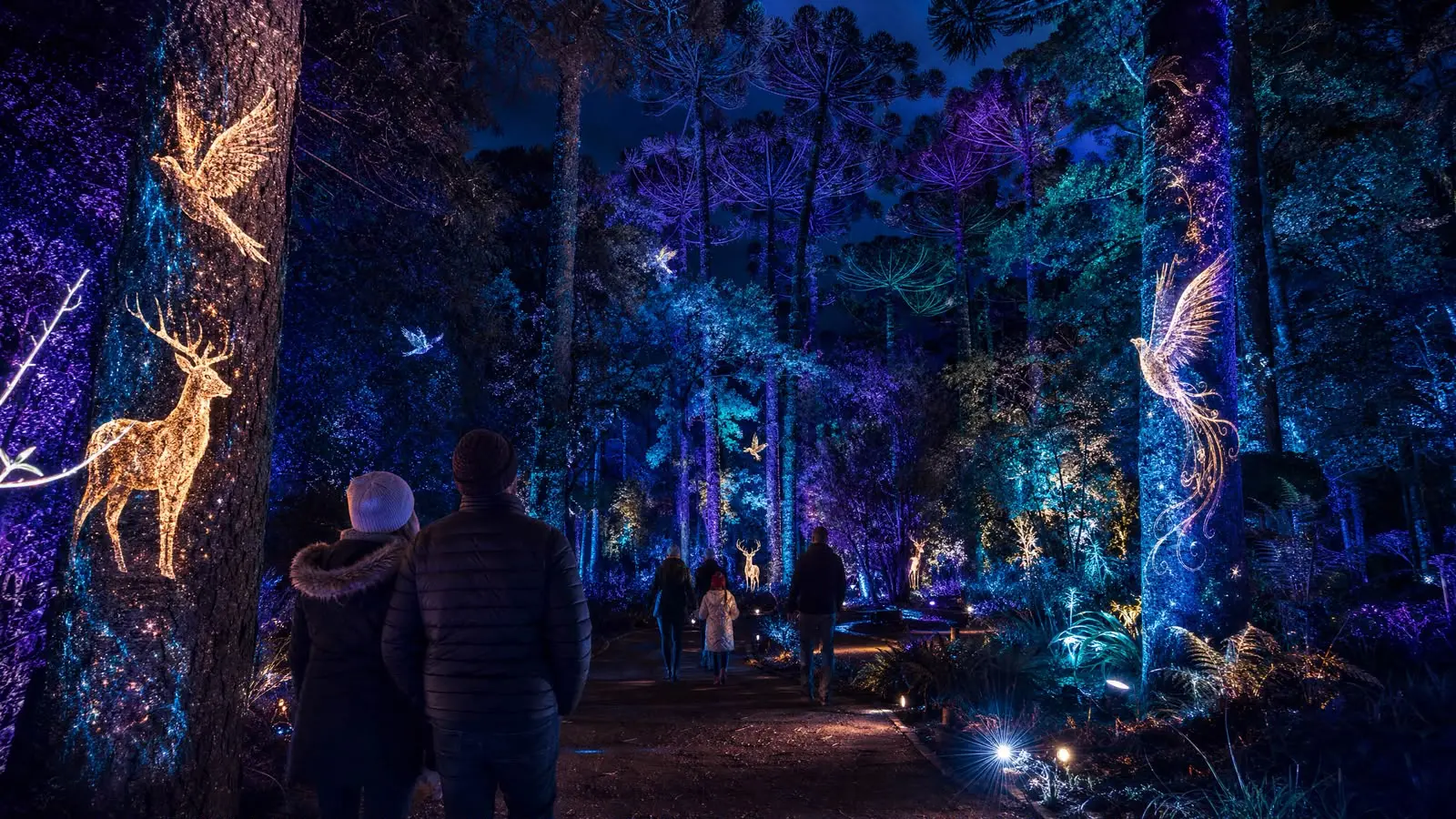 Curitiba vive temporada de inverno com atrações para toda a família até agosto 1 WhatsApp Image 2026 07 13 at 16.37.35